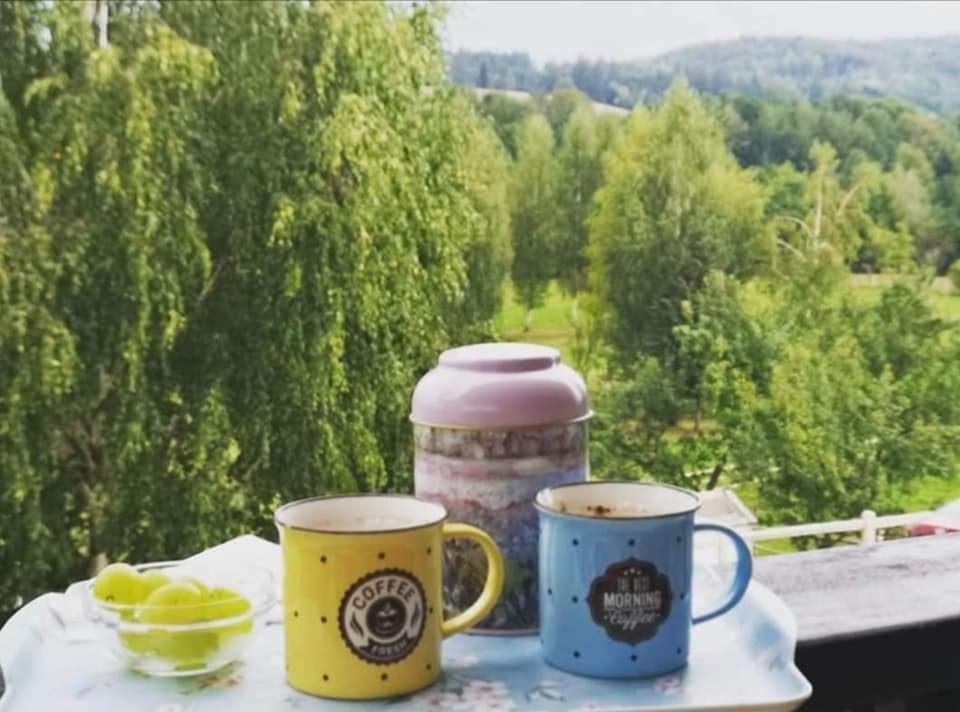 Pensiunea Gradina Ascunsa Bughea de Jos Bagian luar foto