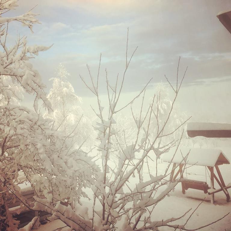 Pensiunea Gradina Ascunsa Bughea de Jos Bagian luar foto