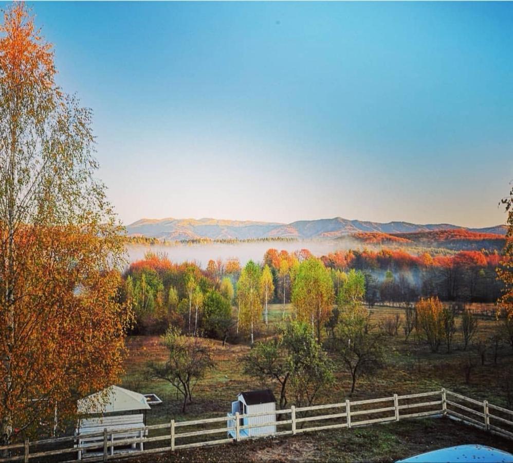 Pensiunea Gradina Ascunsa Bughea de Jos Bagian luar foto